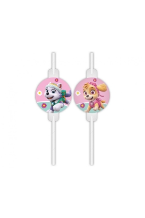 Słomki papierowe Paw Patrol ze medalionem Skye & Everest – 4 szt.