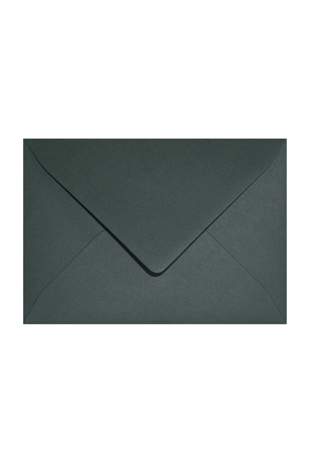 Holly ciemna zielona 120g
